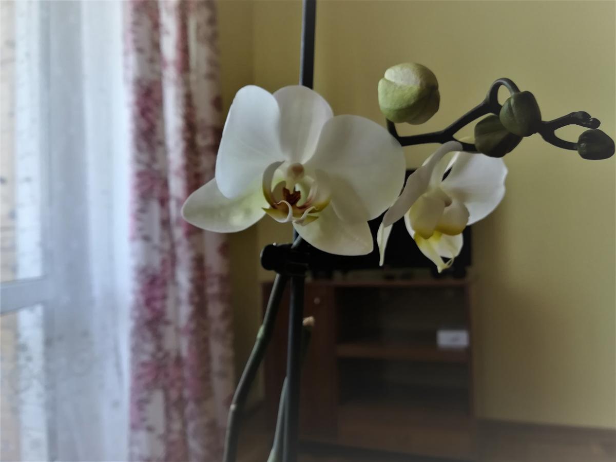 Apartament Na Adamkovskoy Daire Brest Dış mekan fotoğraf